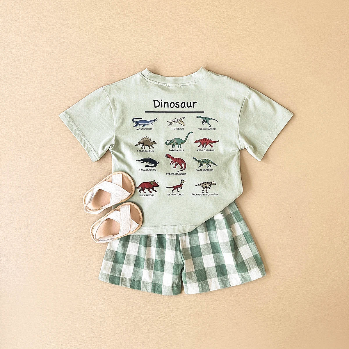 Dinosaur t-Shirt & checkered shorts
