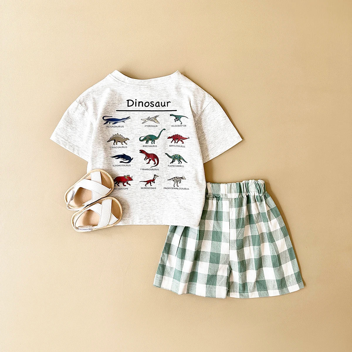 Dinosaur t-Shirt & checkered shorts