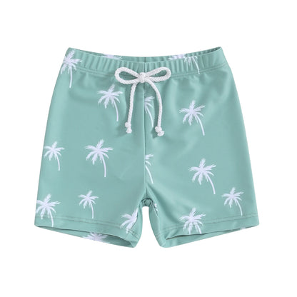 Boys dinosaur swim shorts